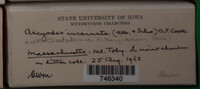 Image Associated With the Occurence